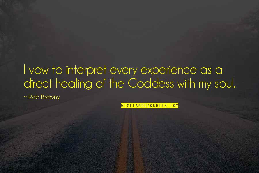 Healing The Soul Quotes By Rob Brezsny: I vow to interpret every experience as a