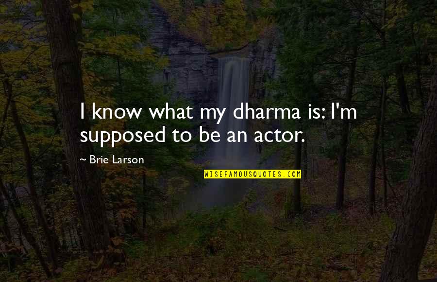 Healing Time Quote Quotes By Brie Larson: I know what my dharma is: I'm supposed