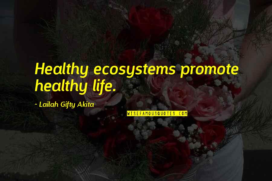 Health And Nature Quotes By Lailah Gifty Akita: Healthy ecosystems promote healthy life.