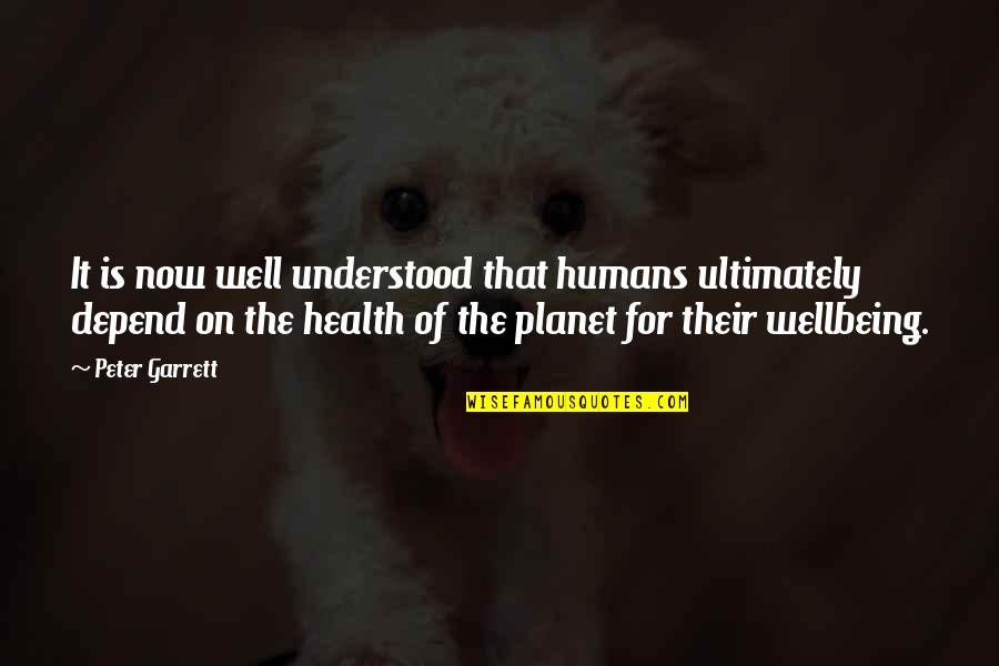 Health And Wellbeing Quotes By Peter Garrett: It is now well understood that humans ultimately