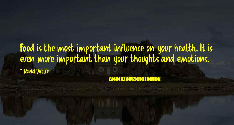 Health Is More Important Quotes By David Wolfe: Food is the most important influence on your Health Is More Important Quotes By David Wolfe: Food is the most important influence on your