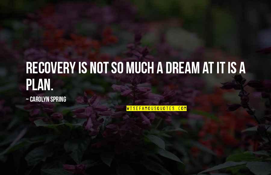 Health Plan Quotes By Carolyn Spring: Recovery is not so much a dream at