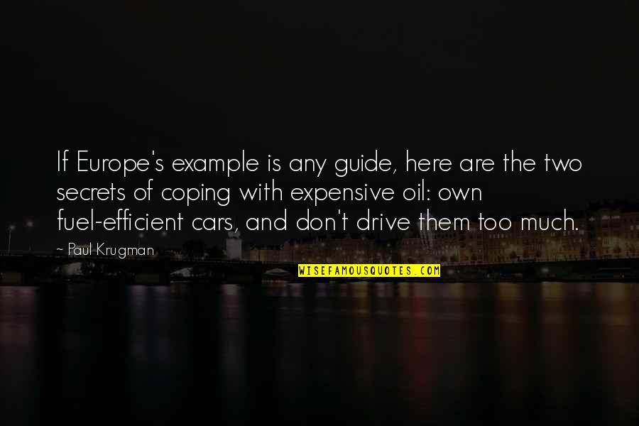 Health Ton Quotes By Paul Krugman: If Europe's example is any guide, here are Health Ton Quotes By Paul Krugman: If Europe's example is any guide, here are