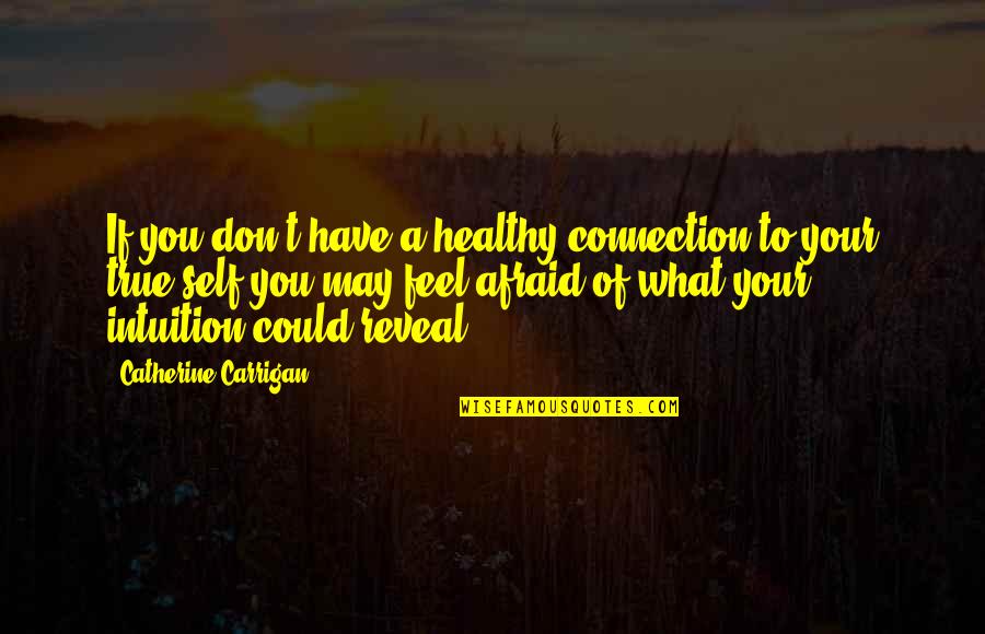 Healthy Quotes Quotes By Catherine Carrigan: If you don't have a healthy connection to