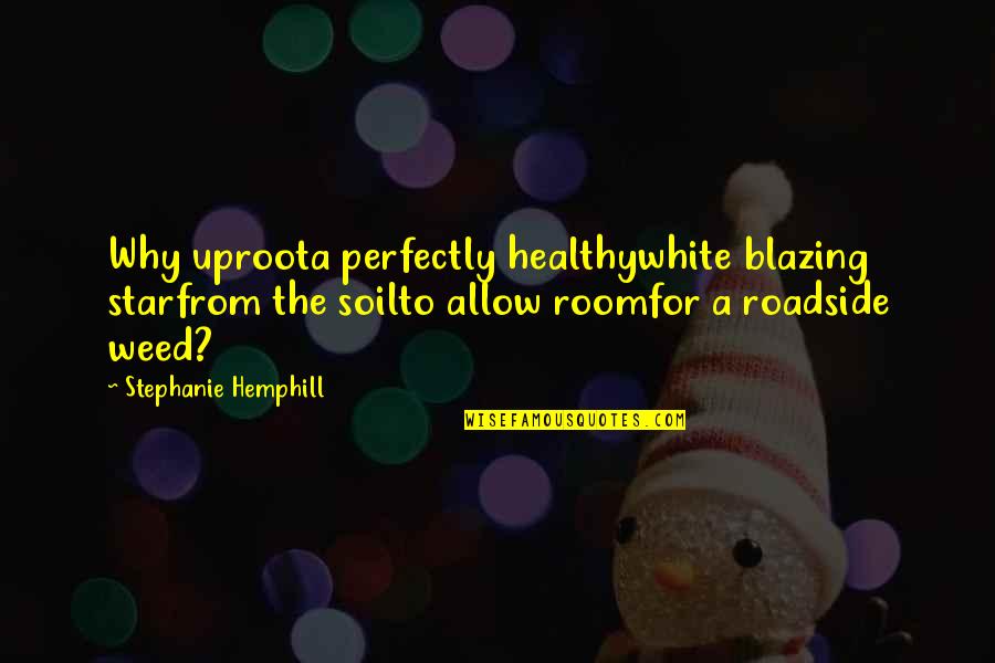 Healthy Soil Quotes By Stephanie Hemphill: Why uproota perfectly healthywhite blazing starfrom the soilto