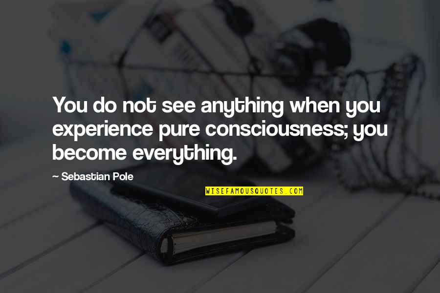 Healthy Wellness Quotes By Sebastian Pole: You do not see anything when you experience