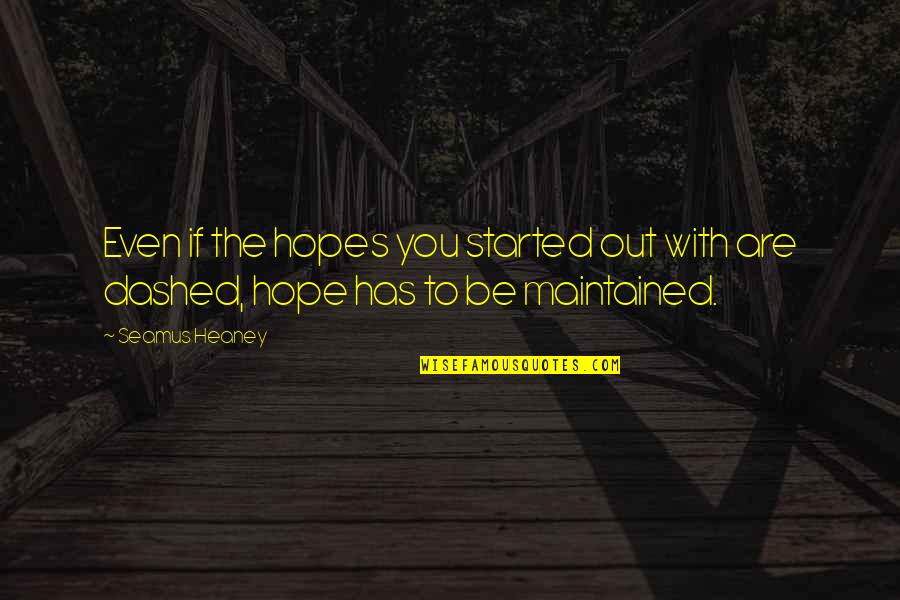 Heaney Quotes By Seamus Heaney: Even if the hopes you started out with