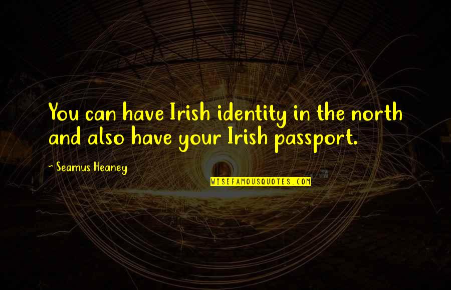 Heaney Quotes By Seamus Heaney: You can have Irish identity in the north
