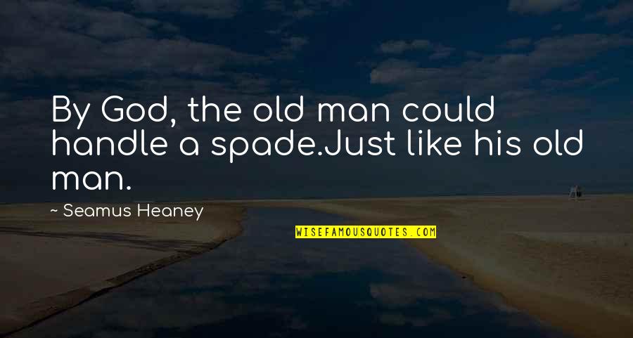 Heaney's Quotes By Seamus Heaney: By God, the old man could handle a