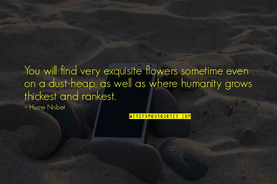 Heap Quotes By Hume Nisbet: You will find very exquisite flowers sometime even