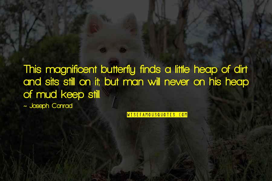 Heap Quotes By Joseph Conrad: This magnificent butterfly finds a little heap of