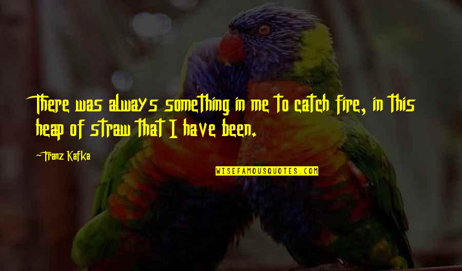 Heap't Quotes By Franz Kafka: There was always something in me to catch