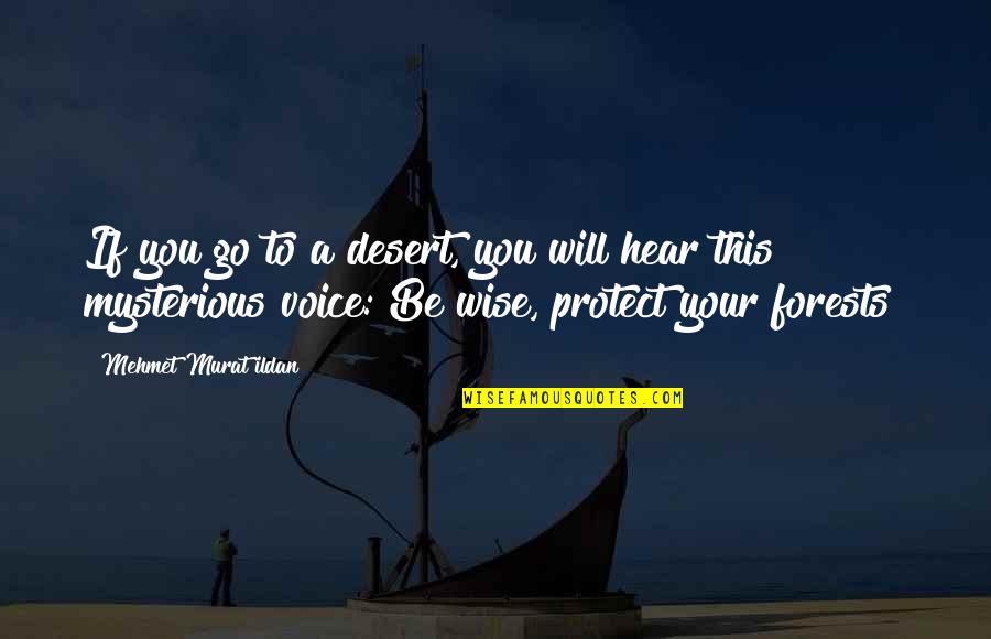 Hear Your Voice Quotes By Mehmet Murat Ildan: If you go to a desert, you will