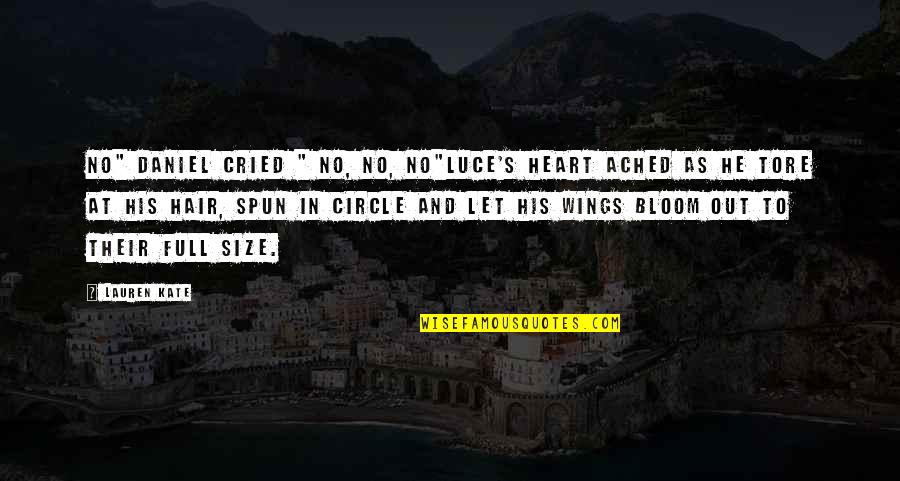 Heart Ached Quotes By Lauren Kate: No" Daniel cried " No, no, no"Luce's heart