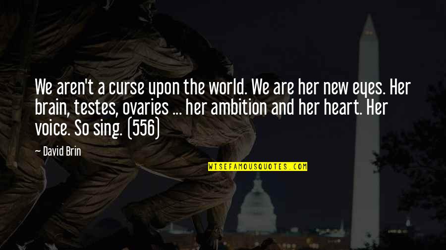 Heart And Eyes Quotes By David Brin: We aren't a curse upon the world. We Heart And Eyes Quotes By David Brin: We aren't a curse upon the world. We