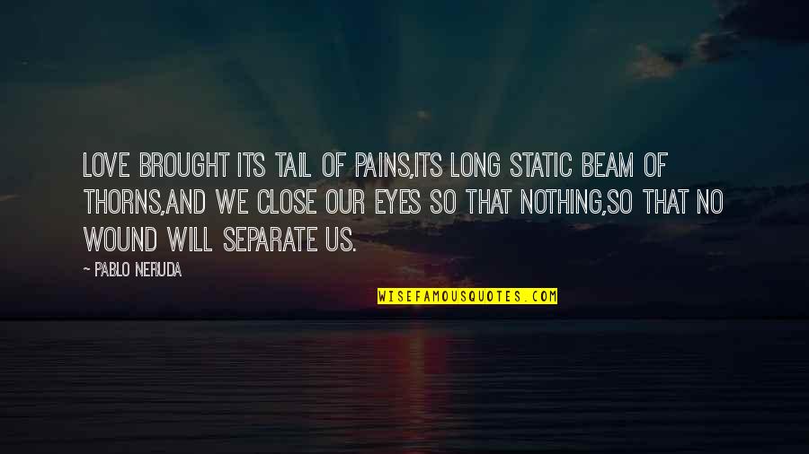 Heart And Eyes Quotes By Pablo Neruda: Love brought its tail of pains,its long static