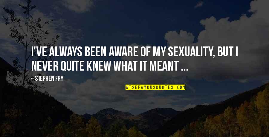 Heart Breaking Sad Quotes By Stephen Fry: I've always been aware of my sexuality, but