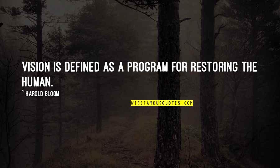 Heart Broken Friendship Quotes By Harold Bloom: Vision is defined as a program for restoring