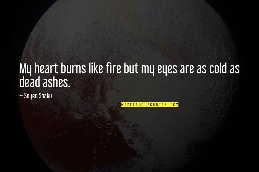 Heart Cold Quotes By Soyen Shaku: My heart burns like fire but my eyes