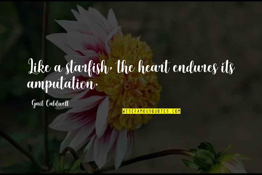 Heart Endures Quotes By Gail Caldwell: Like a starfish, the heart endures its amputation.