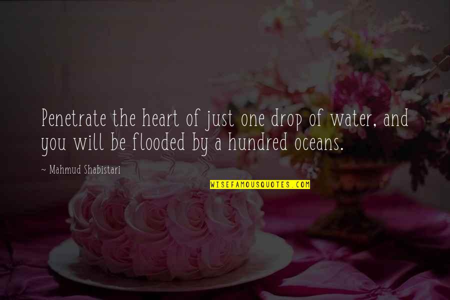 Heart In The Ocean Quotes By Mahmud Shabistari: Penetrate the heart of just one drop of