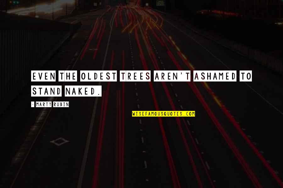 Heart Is Like Baby Quotes By Marty Rubin: Even the oldest trees aren't ashamed to stand Heart Is Like Baby Quotes By Marty Rubin: Even the oldest trees aren't ashamed to stand