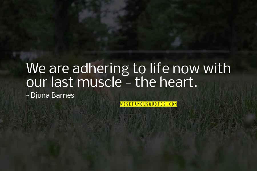 Heart Muscle Quotes By Djuna Barnes: We are adhering to life now with our