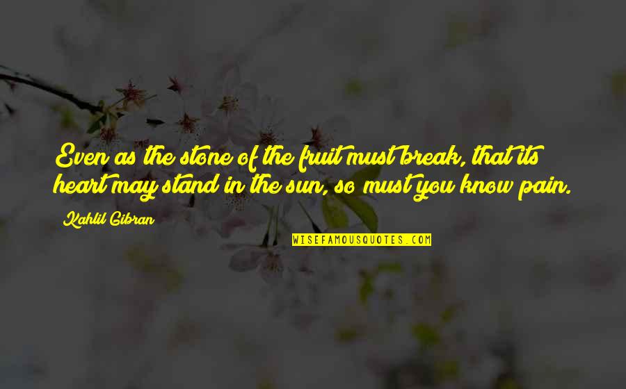 Heart Of Stone Quotes By Kahlil Gibran: Even as the stone of the fruit must