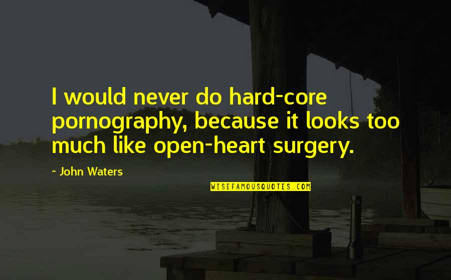 Heart Over Looks Quotes By John Waters: I would never do hard-core pornography, because it Heart Over Looks Quotes By John Waters: I would never do hard-core pornography, because it
