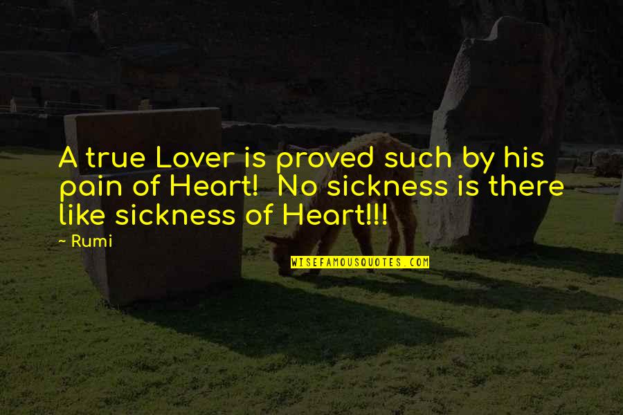 Heart Pain Quotes By Rumi: A true Lover is proved such by his