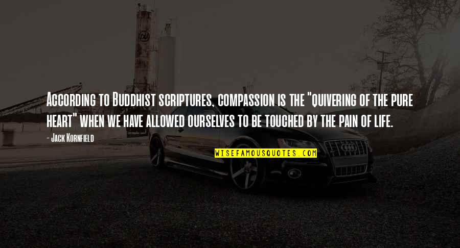 Heart Pure Quotes By Jack Kornfield: According to Buddhist scriptures, compassion is the "quivering Heart Pure Quotes By Jack Kornfield: According to Buddhist scriptures, compassion is the "quivering