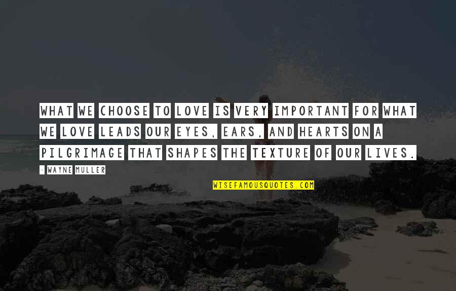 Heart Shapes Quotes By Wayne Muller: What we choose to love is very important