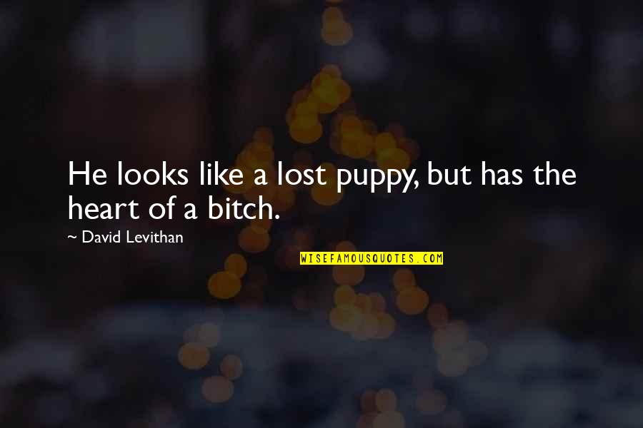 Heart That Looks Quotes By David Levithan: He looks like a lost puppy, but has