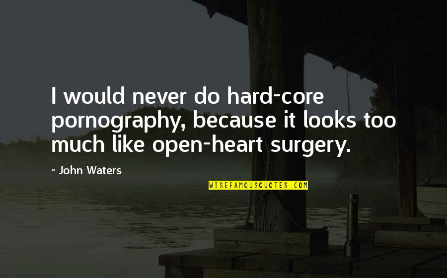 Heart That Looks Quotes By John Waters: I would never do hard-core pornography, because it