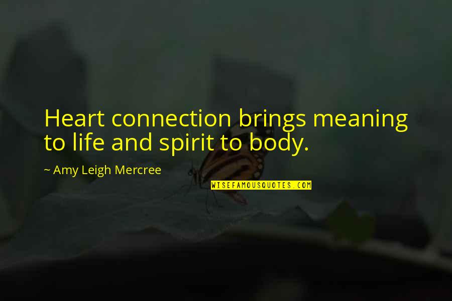 Heart To Heart Connection Quotes By Amy Leigh Mercree: Heart connection brings meaning to life and spirit