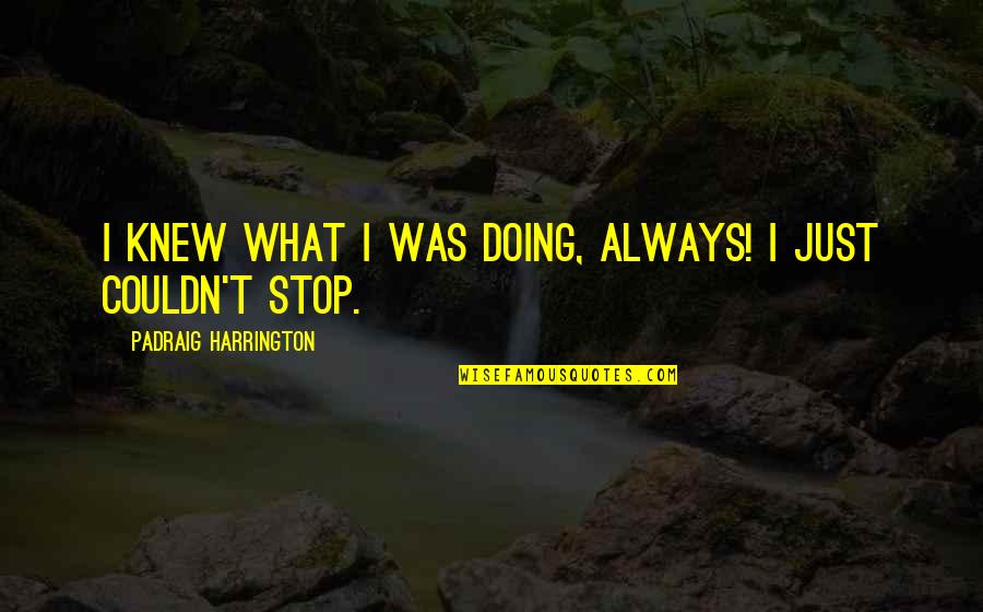 Heart Touching Life Quotes By Padraig Harrington: I knew what I was doing, always! I Heart Touching Life Quotes By Padraig Harrington: I knew what I was doing, always! I