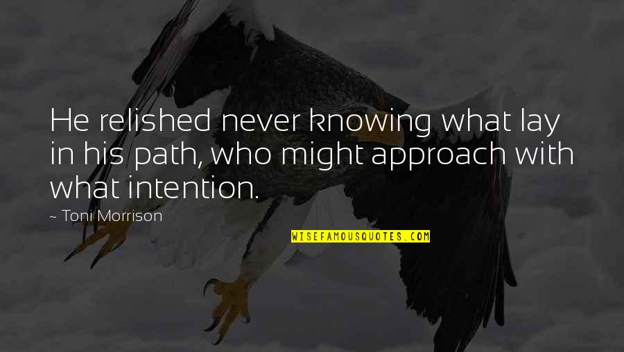 Heart Warmer Quotes By Toni Morrison: He relished never knowing what lay in his Heart Warmer Quotes By Toni Morrison: He relished never knowing what lay in his