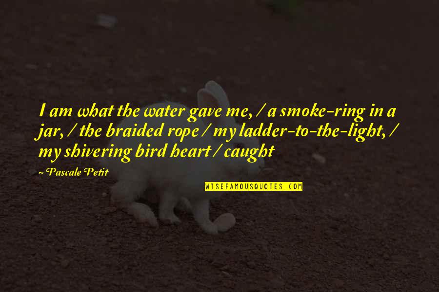 Heart Water Quotes By Pascale Petit: I am what the water gave me, /