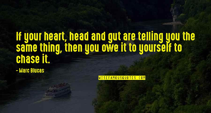Heart Your Guts Quotes By Marc Blucas: If your heart, head and gut are telling Heart Your Guts Quotes By Marc Blucas: If your heart, head and gut are telling