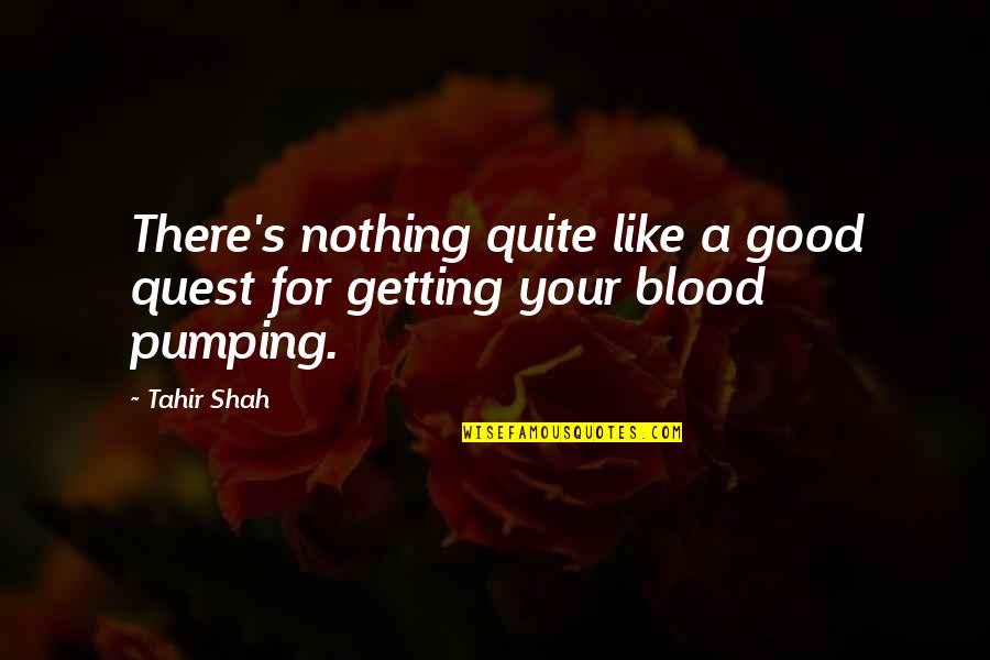 Heartbeat Tumblr Quotes By Tahir Shah: There's nothing quite like a good quest for