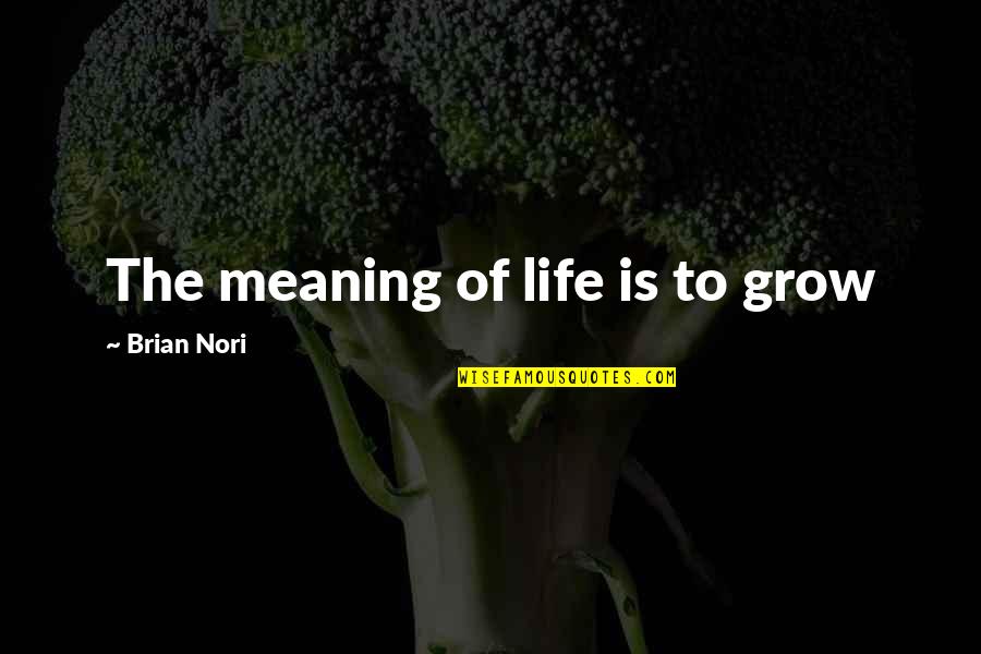 Heartbreak From Family Quotes By Brian Nori: The meaning of life is to grow