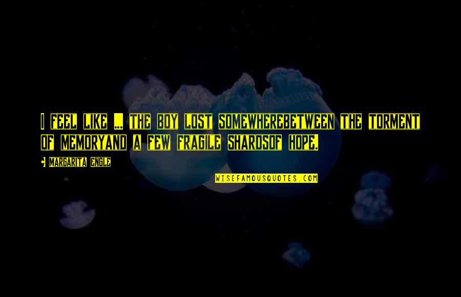 Heartbreak From Songs Quotes By Margarita Engle: I feel like ... the boy lost somewherebetween