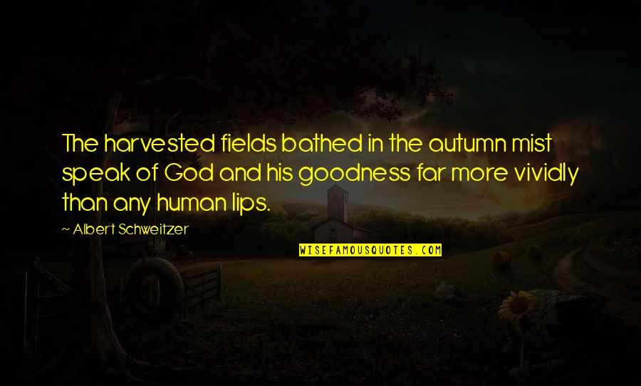 Heartfelt Mothers Quotes By Albert Schweitzer: The harvested fields bathed in the autumn mist