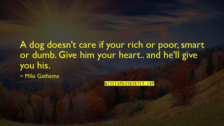 Heart'll Quotes By Milo Gathema: A dog doesn't care if your rich or
