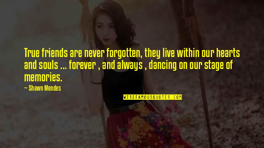 Hearts And Friendship Quotes By Shawn Mendes: True friends are never forgotten, they live within