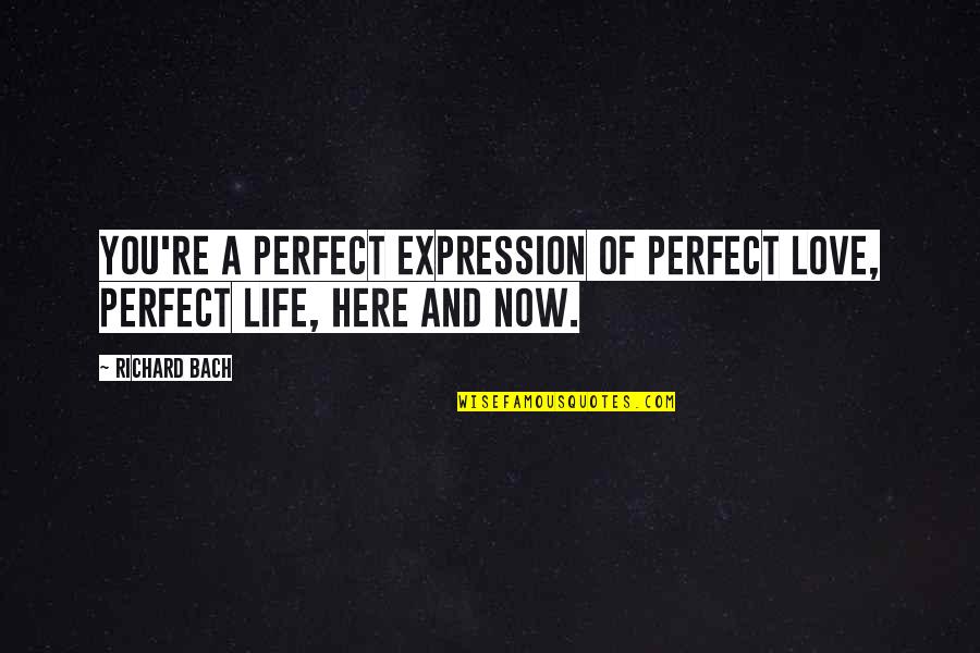 Hearts We Lost Quotes By Richard Bach: You're a perfect expression of perfect Love, perfect