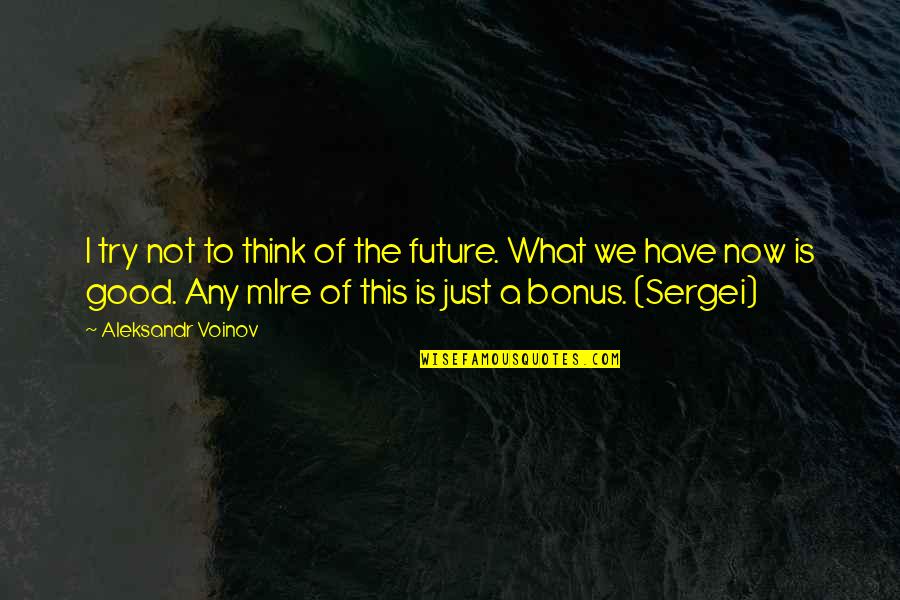 Heartsease Quotes By Aleksandr Voinov: I try not to think of the future.