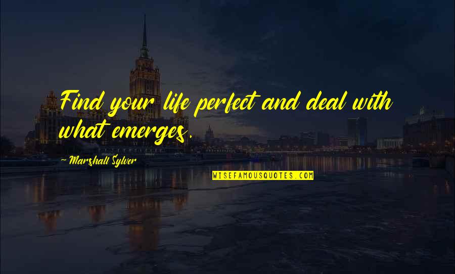 Heartwater Ehrlichia Quotes By Marshall Sylver: Find your life perfect and deal with what