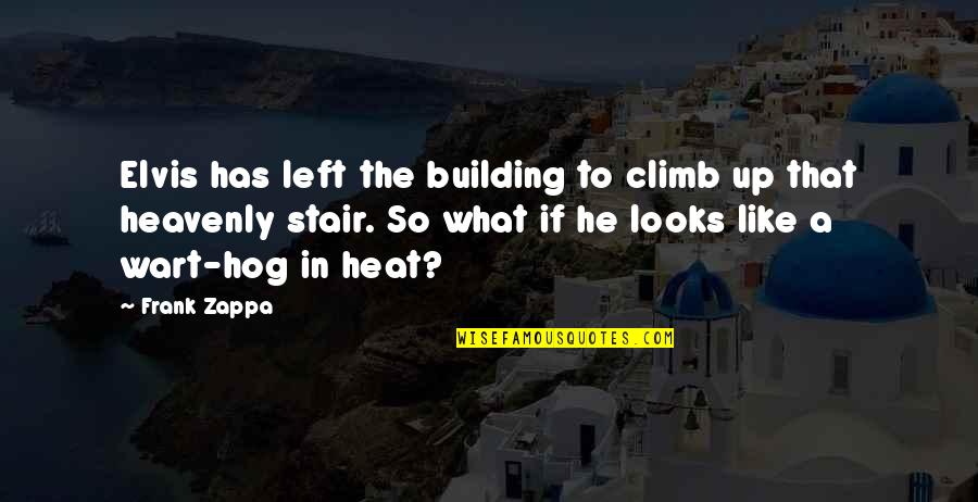Heat Up Quotes By Frank Zappa: Elvis has left the building to climb up