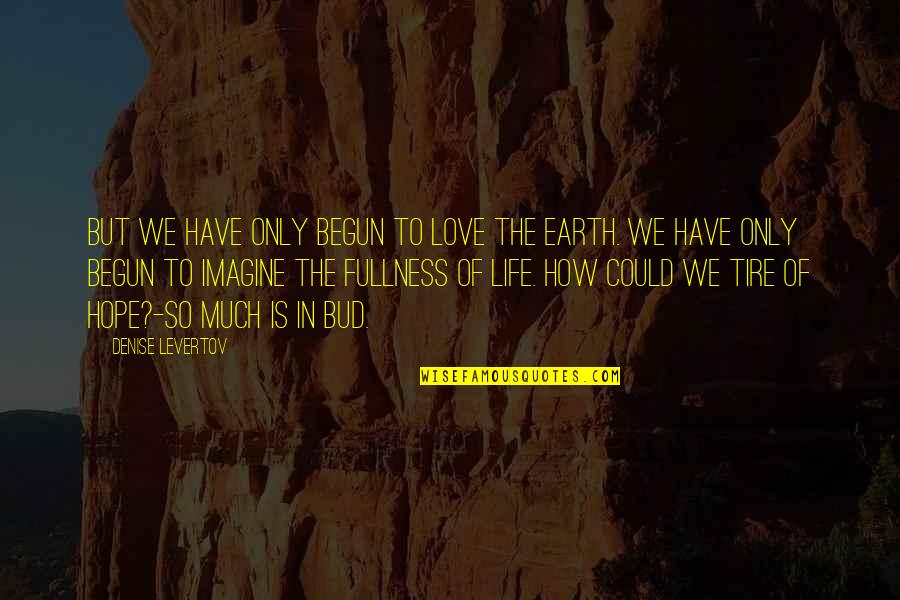 Heathcliffs Personality Quotes By Denise Levertov: But we have only begun to love the Heathcliffs Personality Quotes By Denise Levertov: But we have only begun to love the